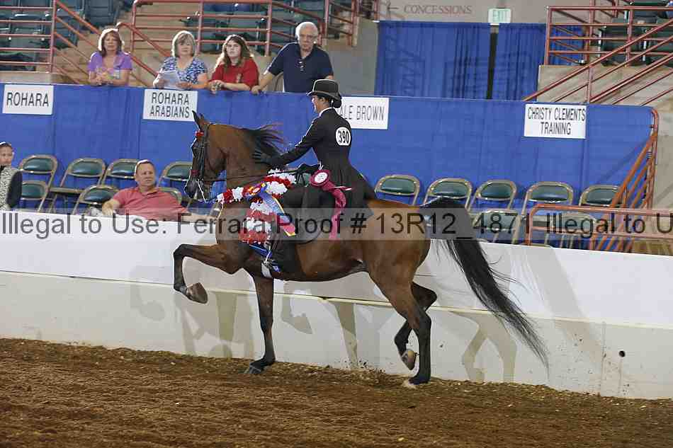 Proof Number 13r12_4871