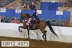 13r12_4871 thumbnail