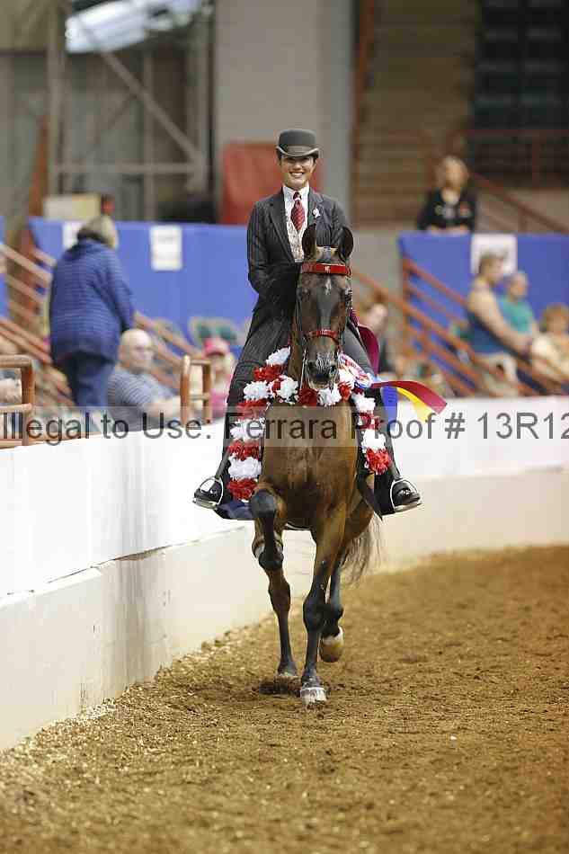 Proof Number 13r12_4872