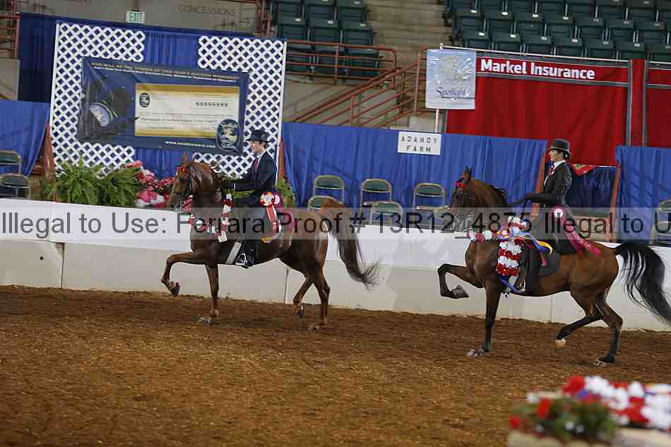 Proof Number 13r12_4875
