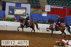 13r12_4875 thumbnail