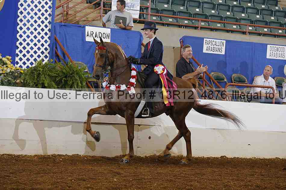 Proof Number 13r12_4876