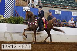 13r12_4876 thumbnail