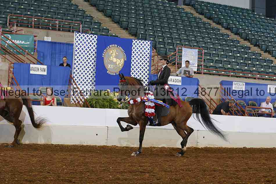 Proof Number 13r12_4877