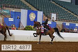 13r12_4877 thumbnail