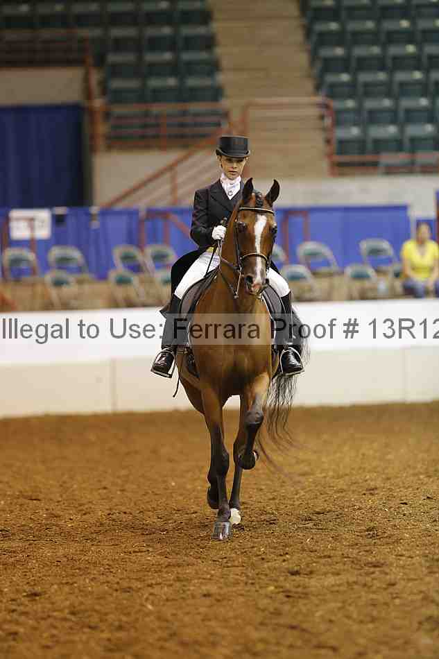 Proof Number 13r12_4951
