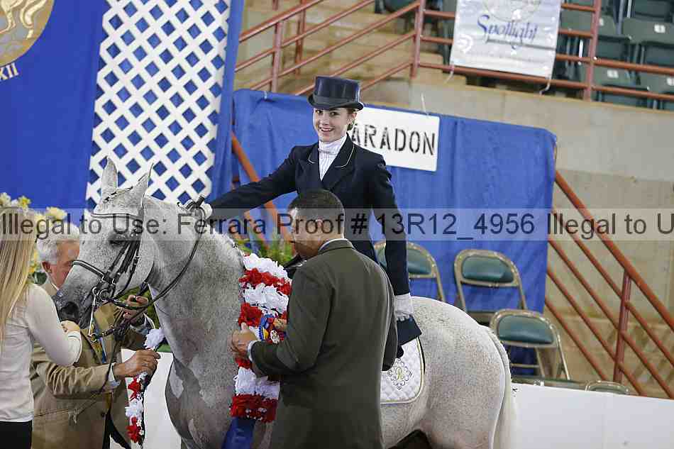Proof Number 13r12_4956