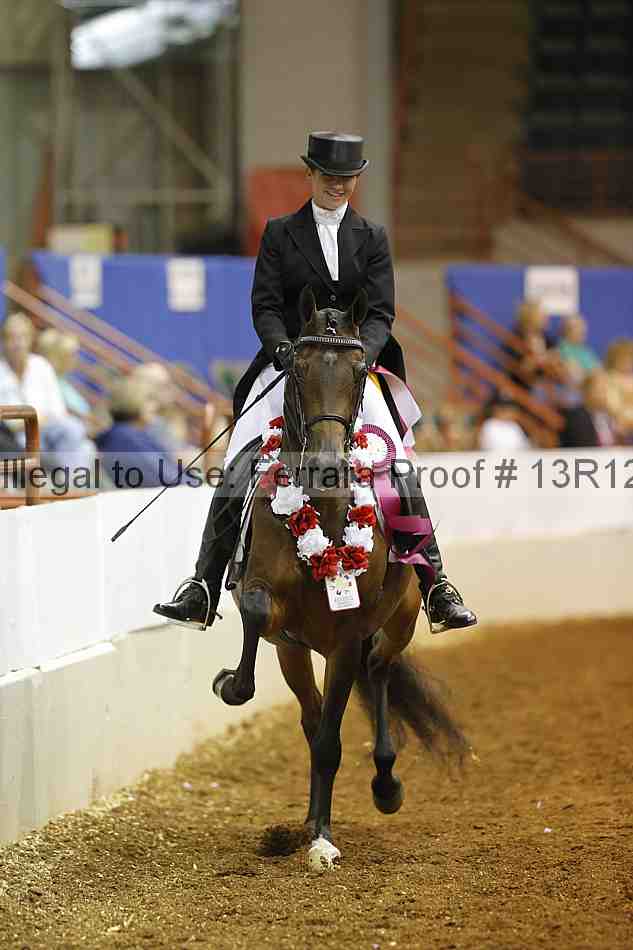 Proof Number 13r12_4969