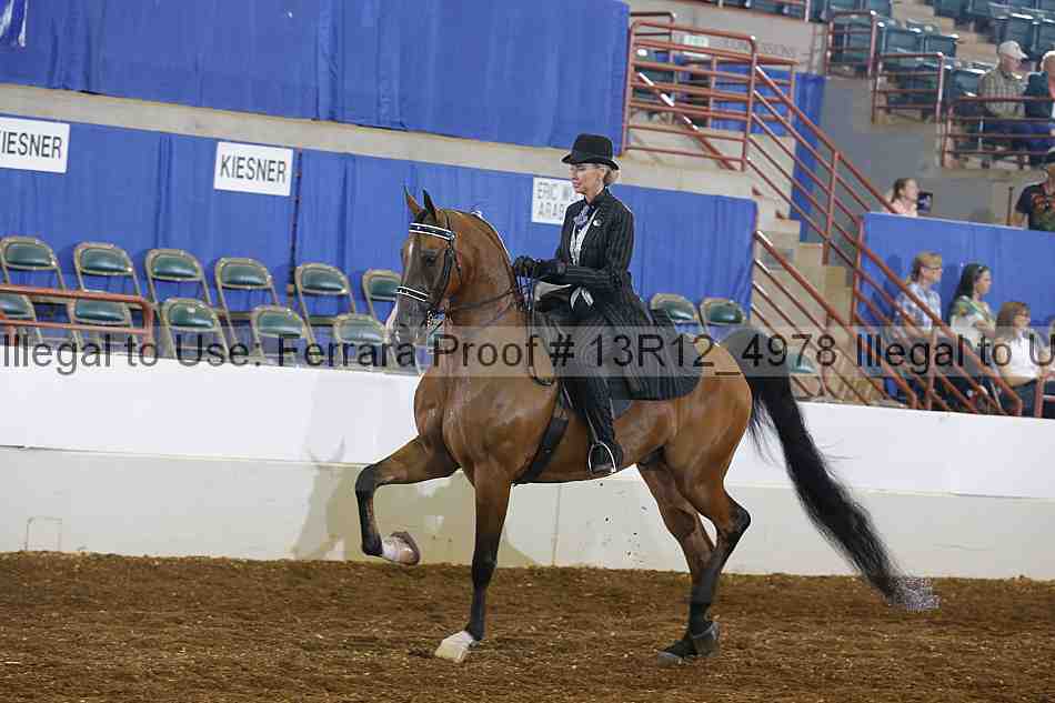 Proof Number 13r12_4978