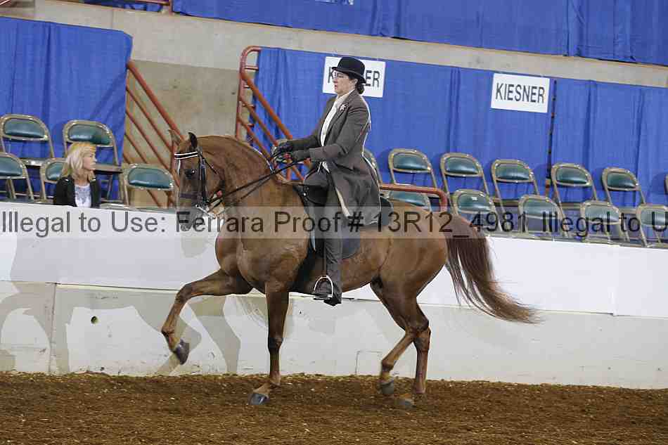 Proof Number 13r12_4981