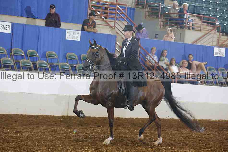 Proof Number 13r12_4985