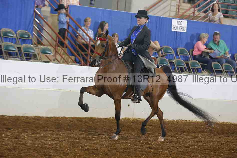 Proof Number 13r12_4987