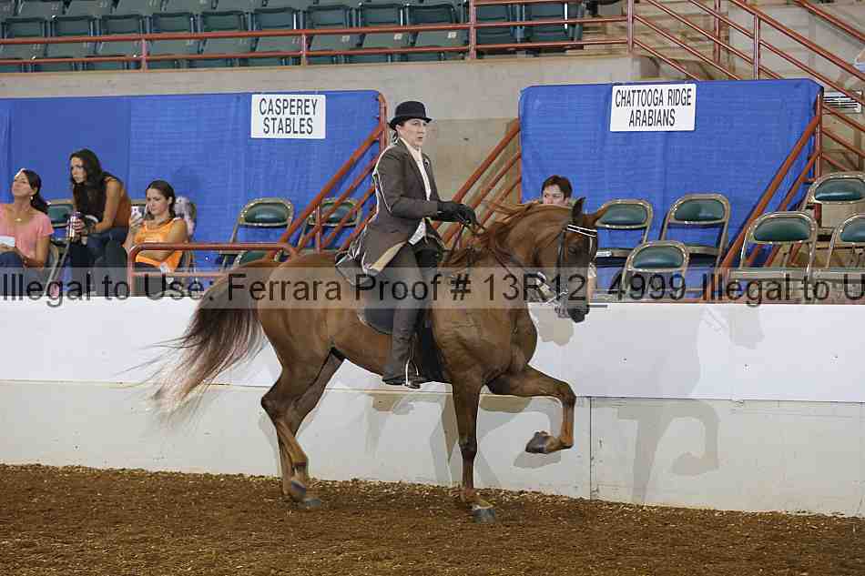 Proof Number 13r12_4999