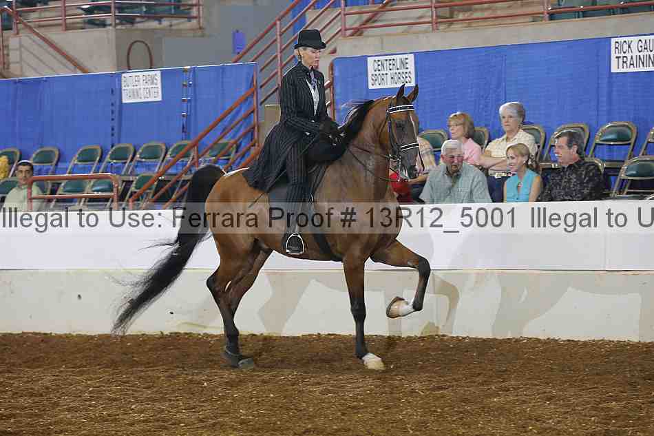 Proof Number 13r12_5001