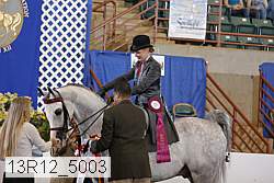 13r12_5003 thumbnail