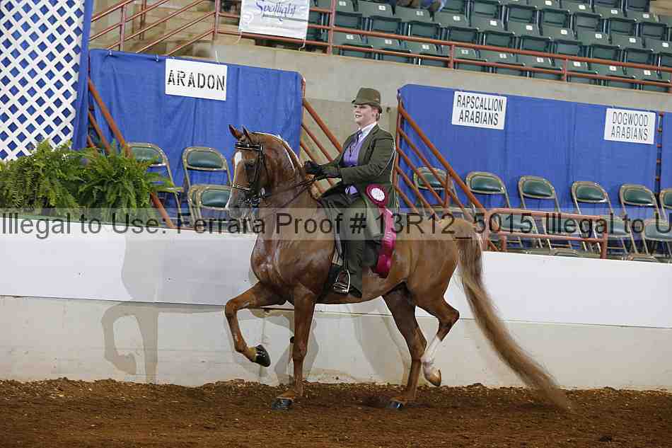 Proof Number 13r12_5015