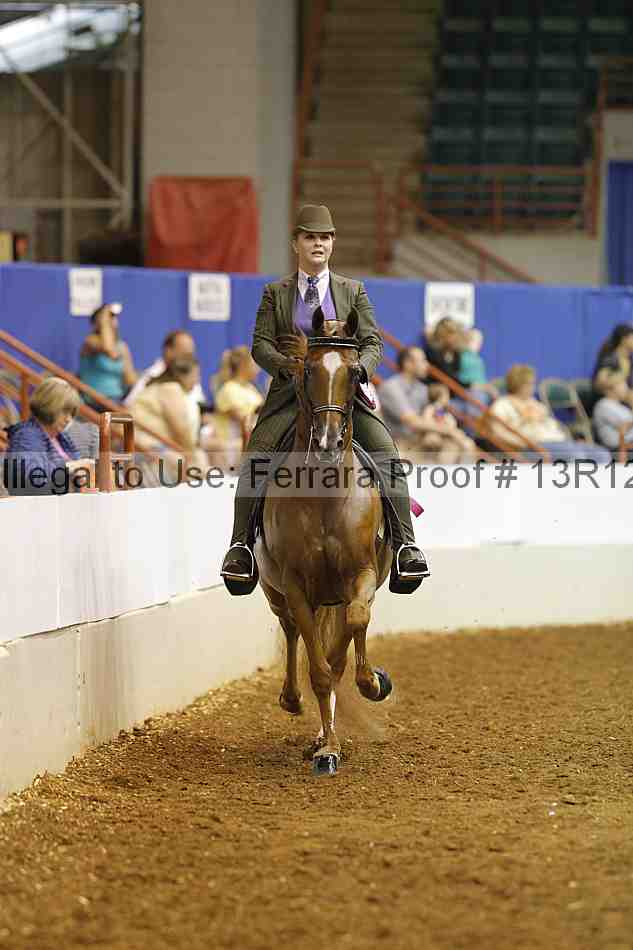 Proof Number 13r12_5017