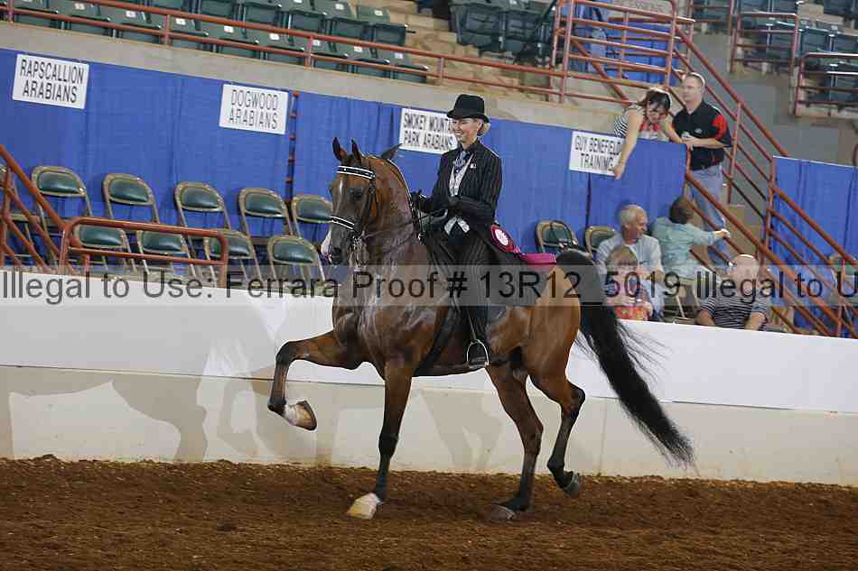 Proof Number 13r12_5019