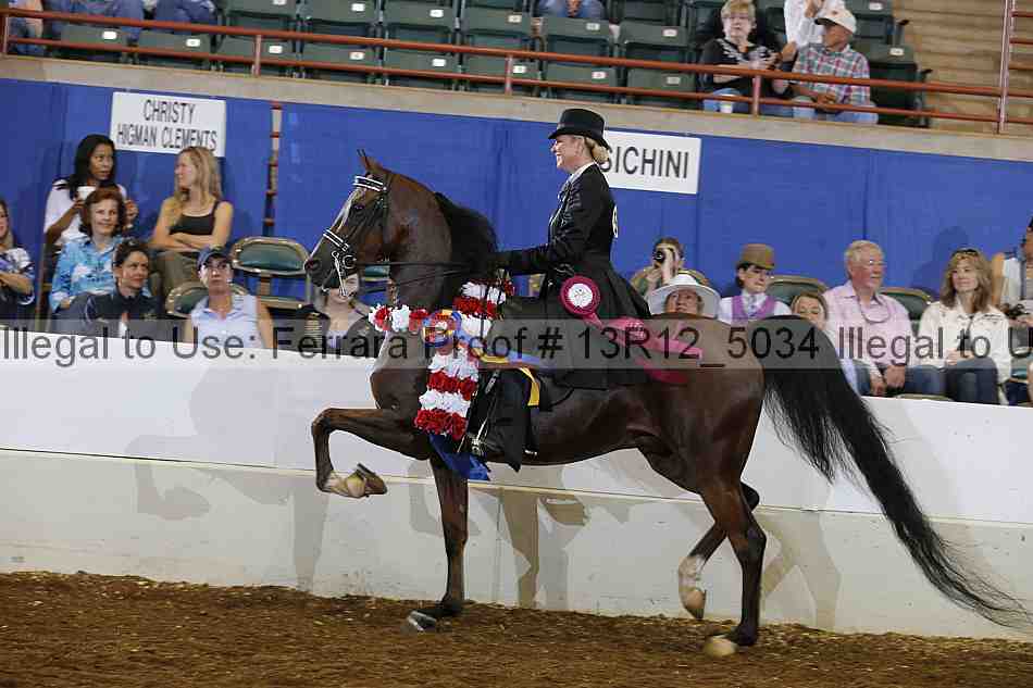 Proof Number 13r12_5034