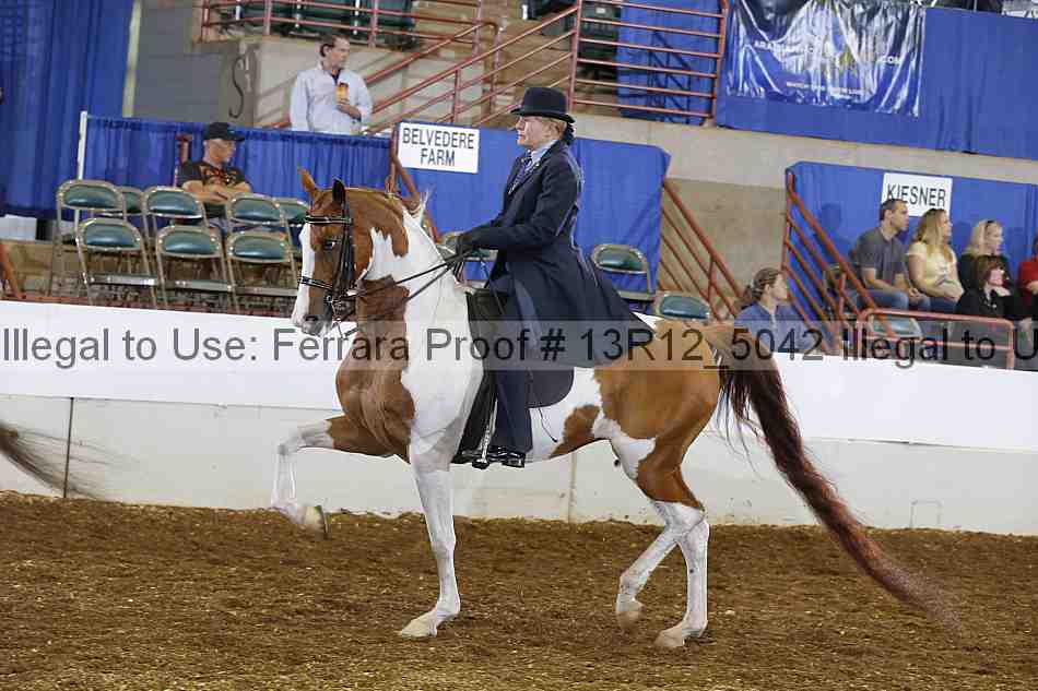 Proof Number 13r12_5042