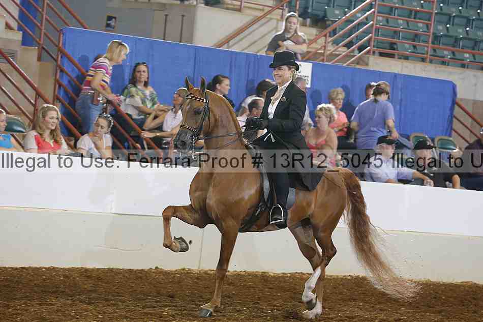 Proof Number 13r12_5045