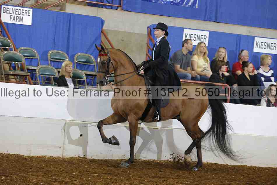 Proof Number 13r12_5050