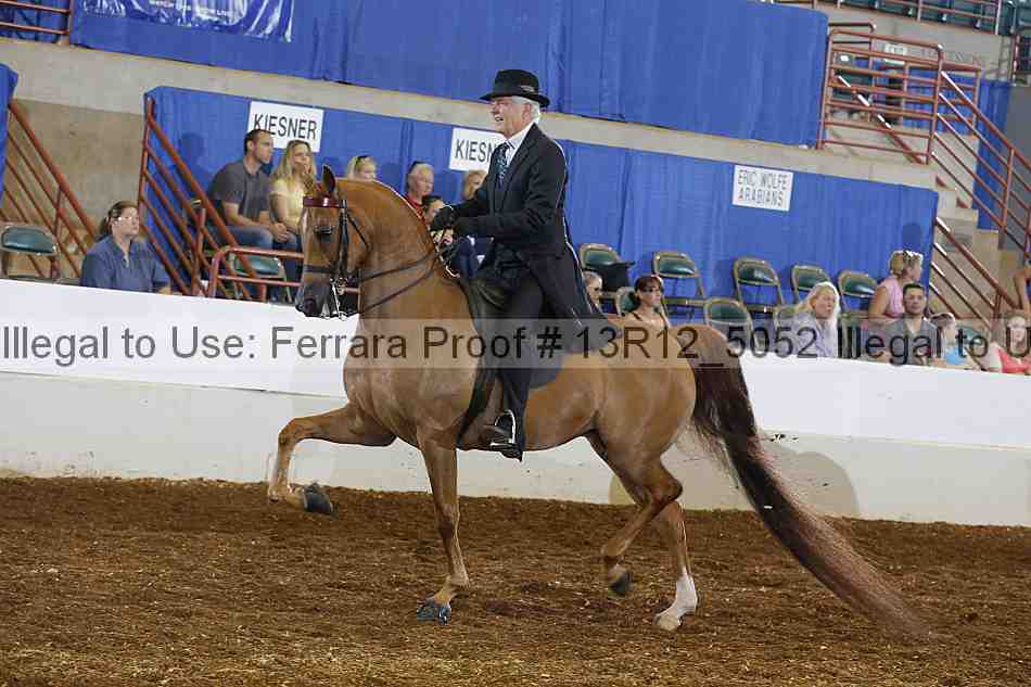 Proof Number 13r12_5052