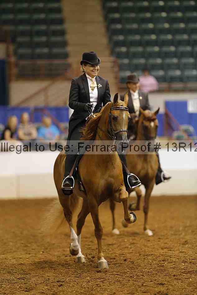 Proof Number 13r12_5055