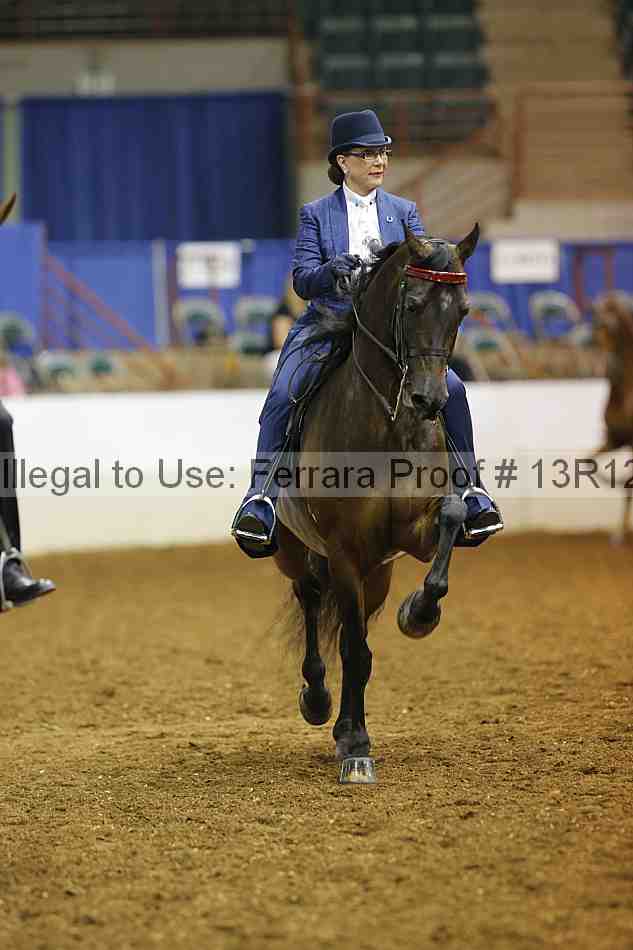 Proof Number 13r12_5061
