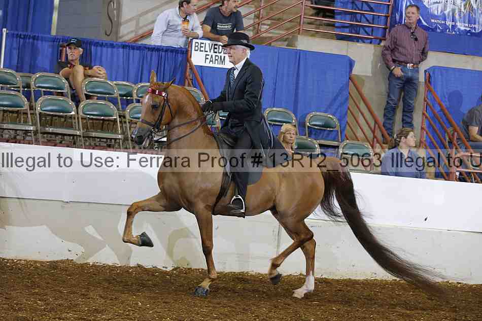 Proof Number 13r12_5063