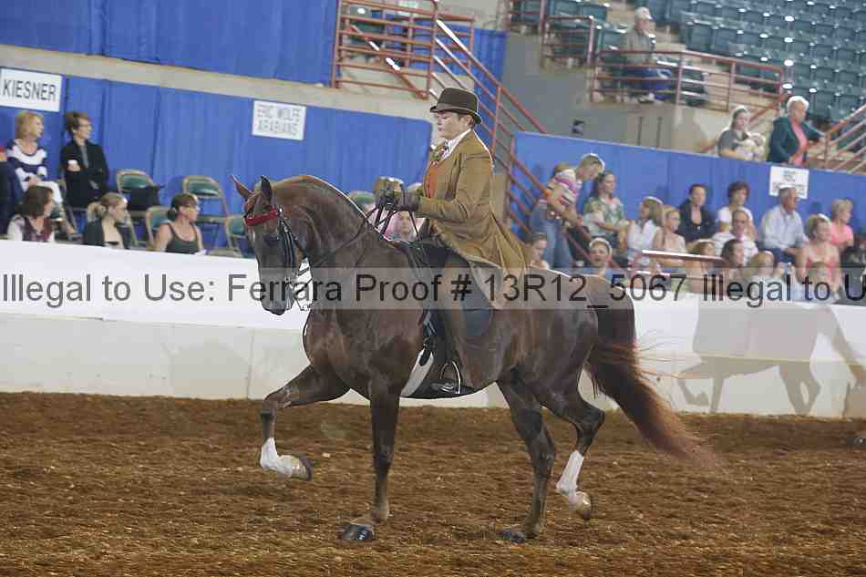 Proof Number 13r12_5067
