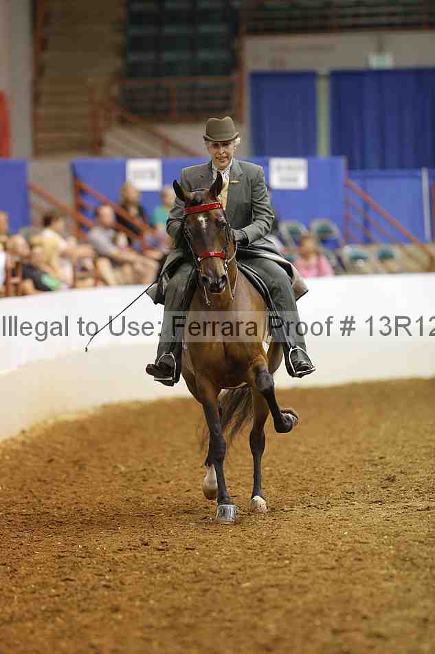 Proof Number 13r12_5068