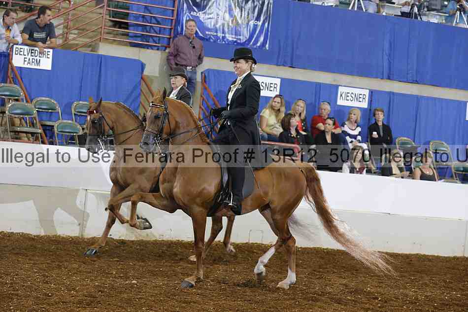 Proof Number 13r12_5070