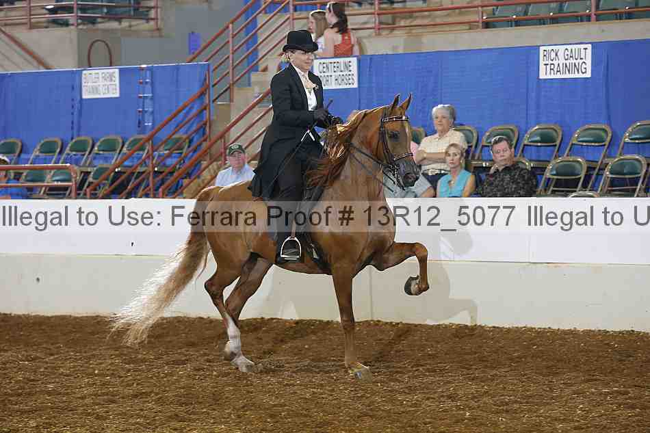 Proof Number 13r12_5077