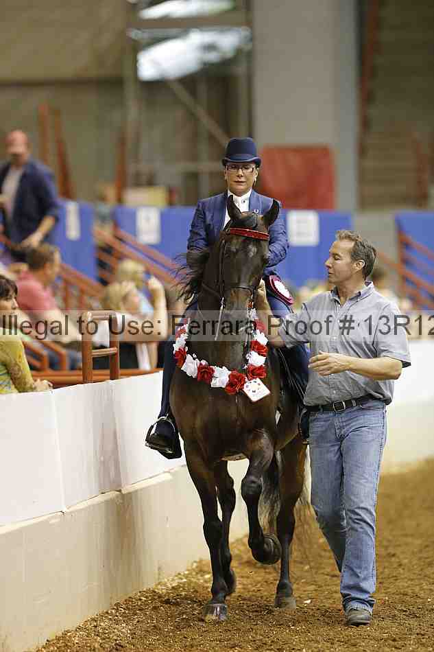 Proof Number 13r12_5096