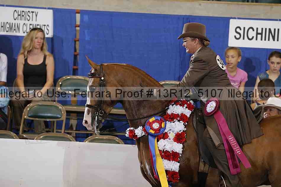 Proof Number 13r12_5107