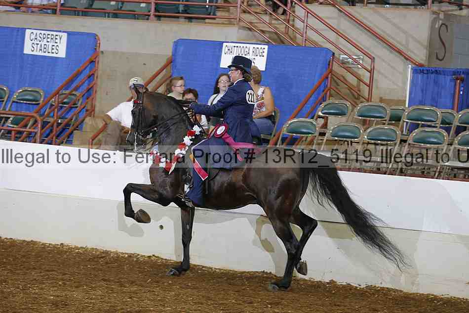 Proof Number 13r12_5119