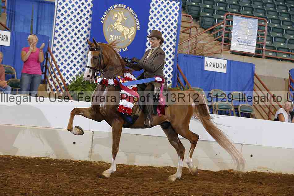 Proof Number 13r12_5129