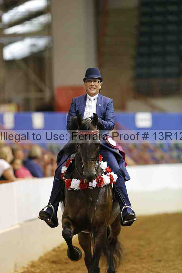 Proof Number 13r12_5131