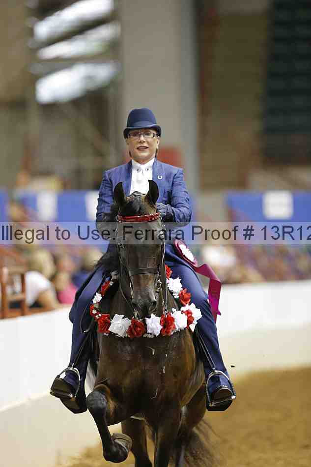 Proof Number 13r12_5133