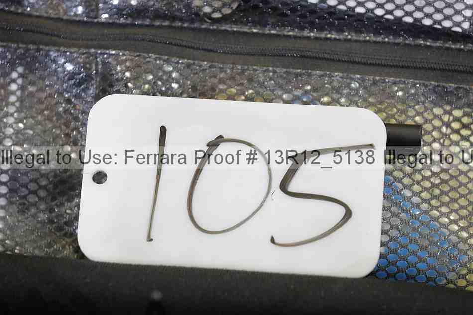 Proof Number 13r12_5138
