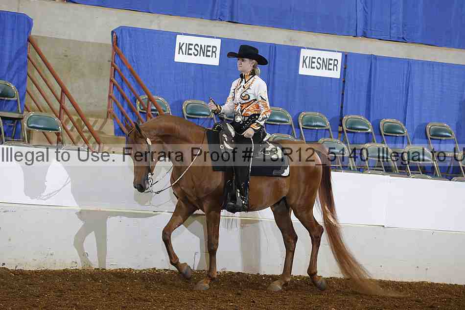 Proof Number 13r12_5140