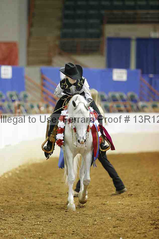 Proof Number 13r12_5156