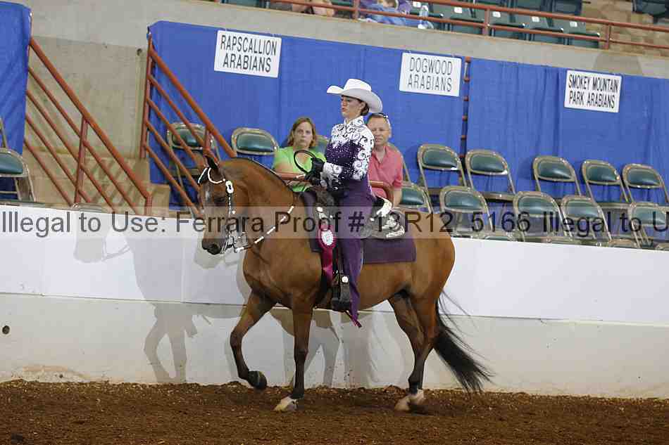 Proof Number 13r12_5166