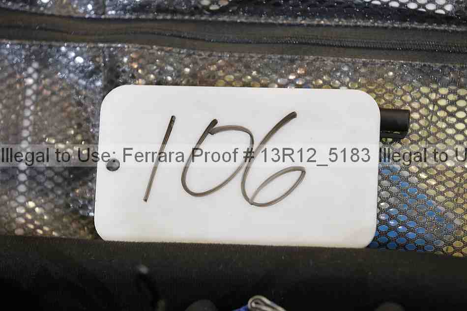 Proof Number 13r12_5183