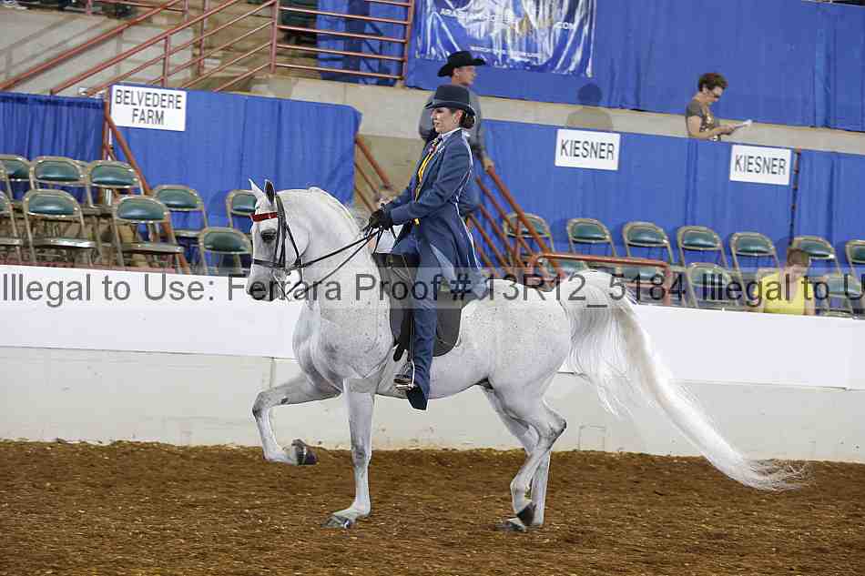 Proof Number 13r12_5184