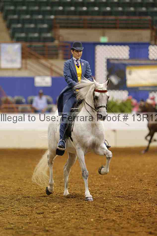 Proof Number 13r12_5209