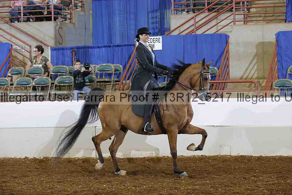 Proof Number 13r12_5217