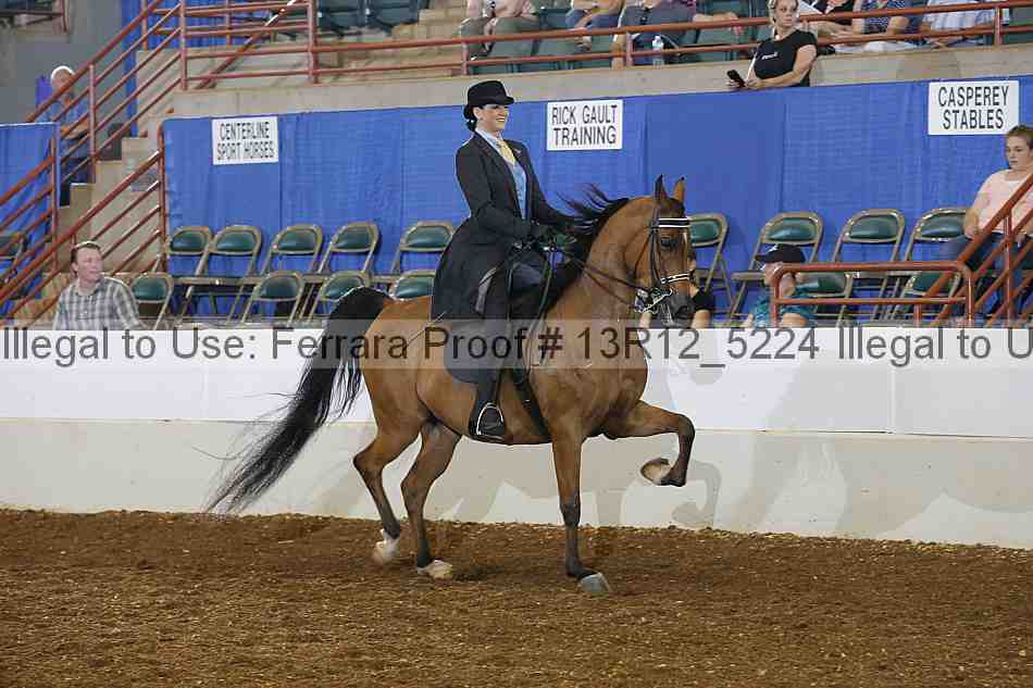 Proof Number 13r12_5224