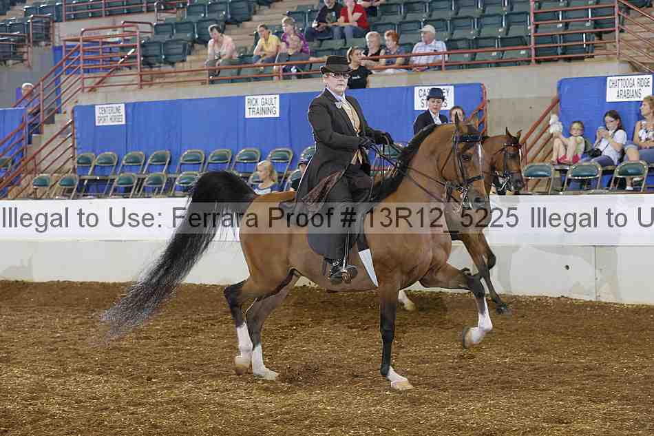 Proof Number 13r12_5225